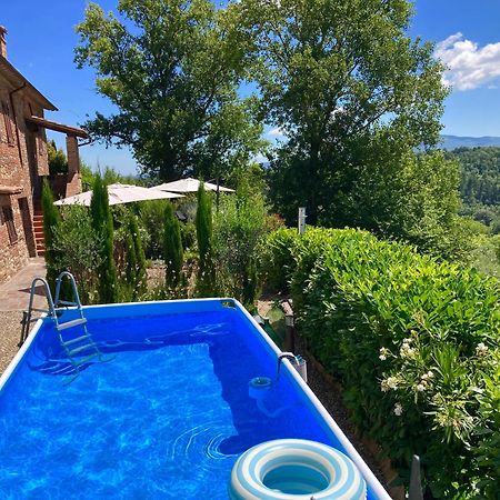 Città della Pieve Grove Cottage: Immersed In Nature & Close To Town מראה חיצוני תמונה