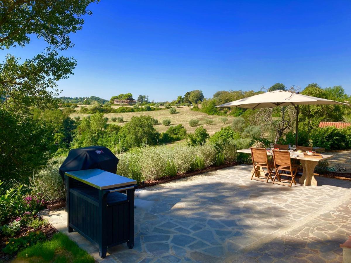Città della Pieve Grove Cottage: Immersed In Nature & Close To Town מראה חיצוני תמונה