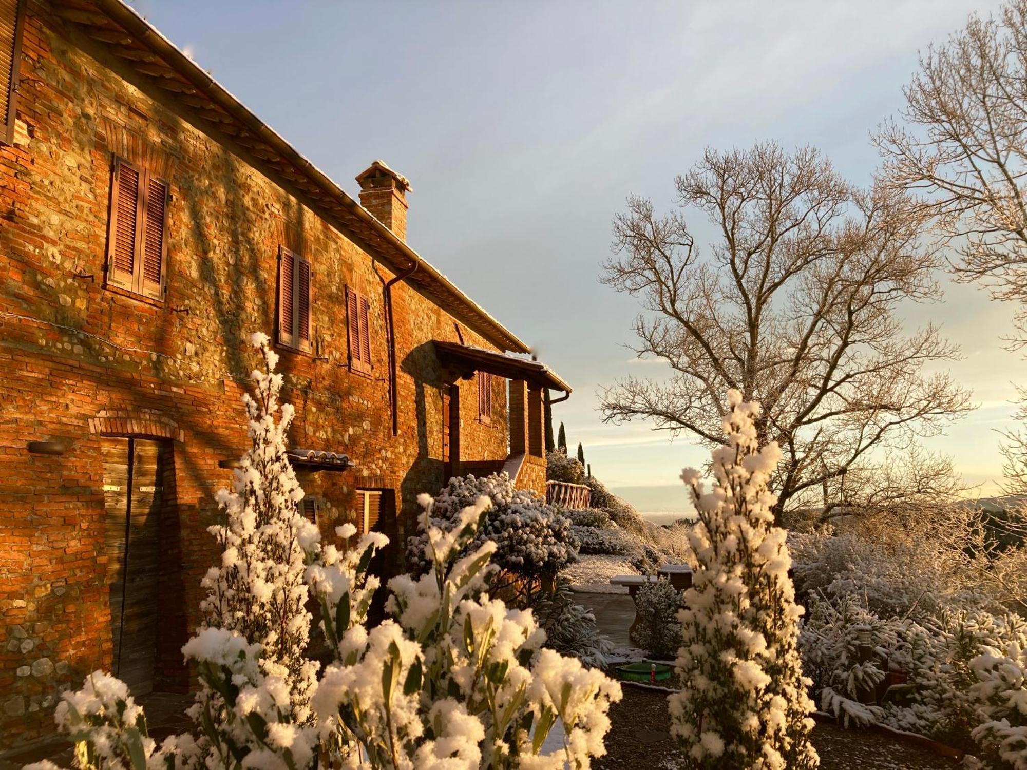 Città della Pieve Grove Cottage: Immersed In Nature & Close To Town מראה חיצוני תמונה