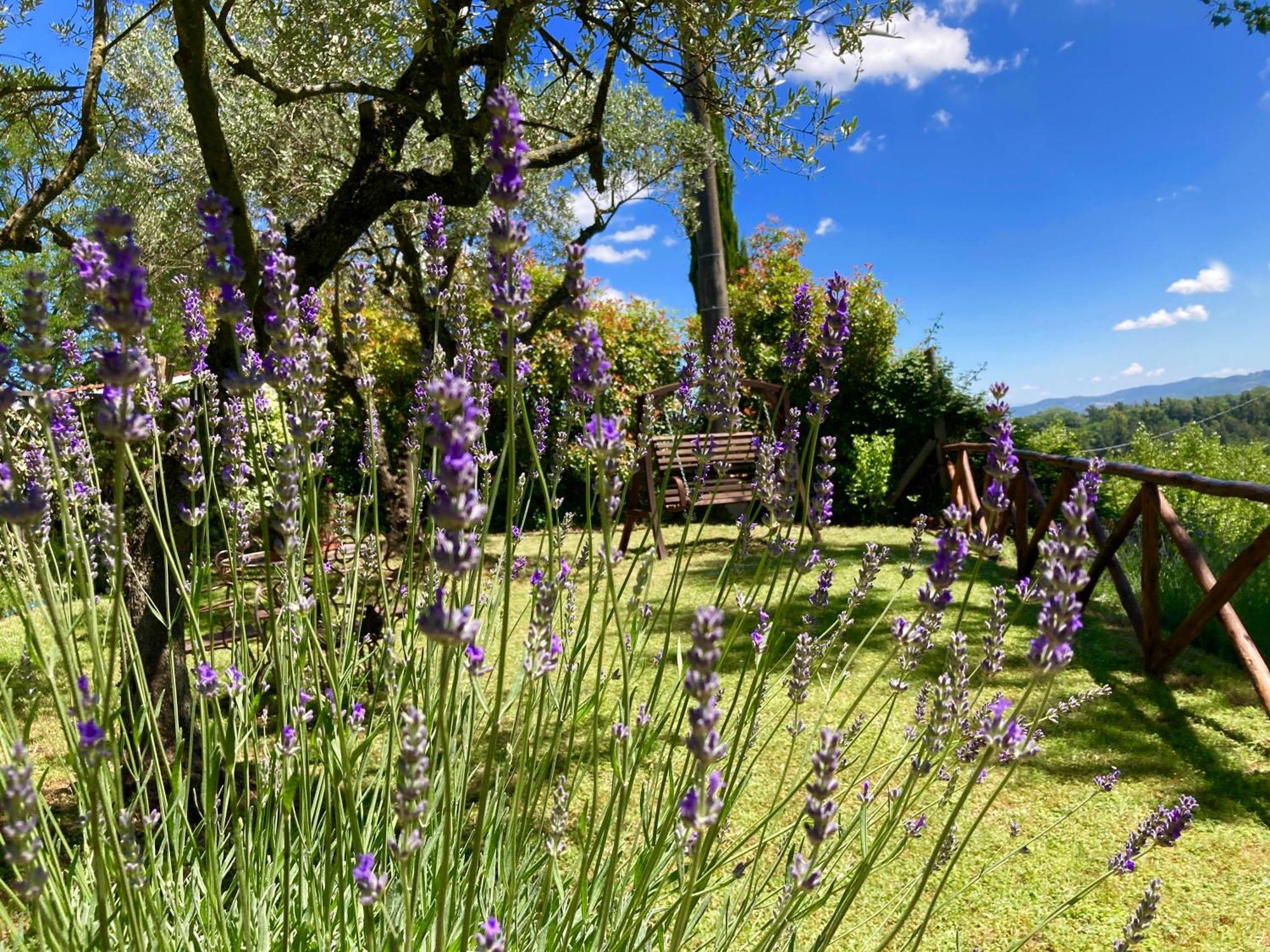 Città della Pieve Grove Cottage: Immersed In Nature & Close To Town מראה חיצוני תמונה