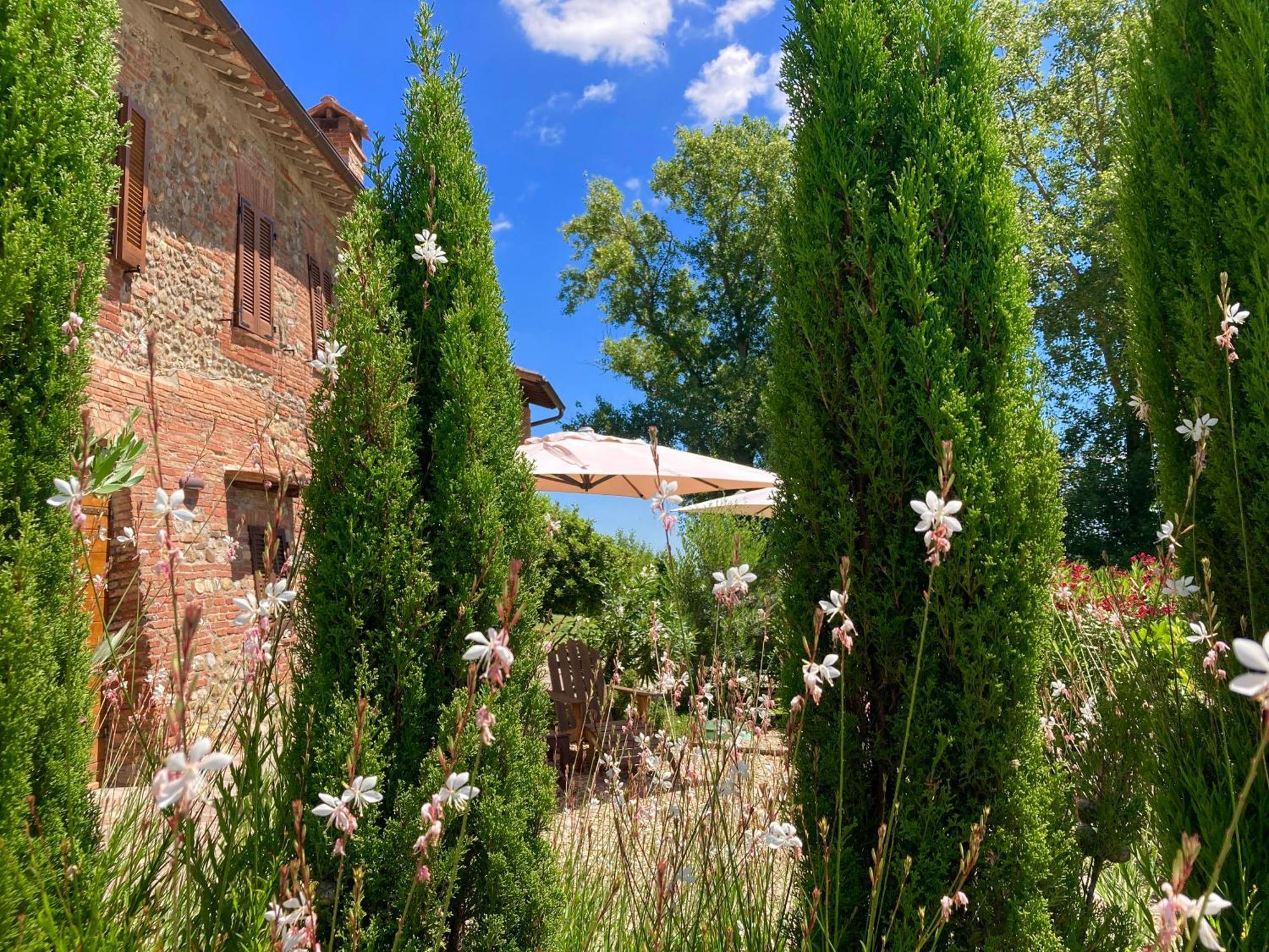 Città della Pieve Grove Cottage: Immersed In Nature & Close To Town מראה חיצוני תמונה